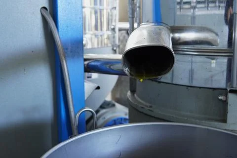 Olive processing line. Stock Photos