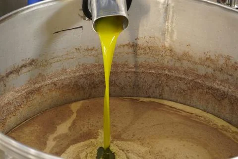 Olive processing line. Stock-Fotos