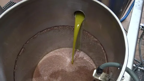 Olive Processing Spain21 100mbps Video stock 259863568