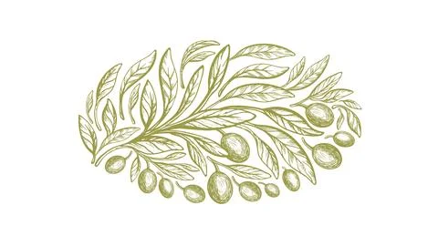 Olive round label Vector texture plant Green fruit Stock Illustration