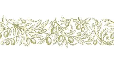 Olive seamless pattern, repeat stripe. Drawn fruit Stock Illustration