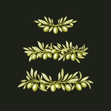 Olive set. Hand drawn border. Vector green fruit Stock Illustration