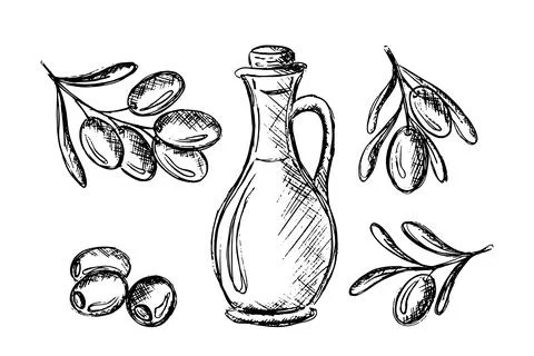Olive sketch element collection, olive branches isolated over white background Stock Illustration