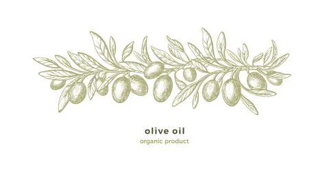 Olive sketch pattern Vector hand draw illustration Stock Illustration