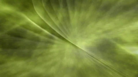 Olive Soft Background Stock Footage 784334