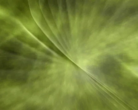 Olive Soft Background Stock Footage 822817