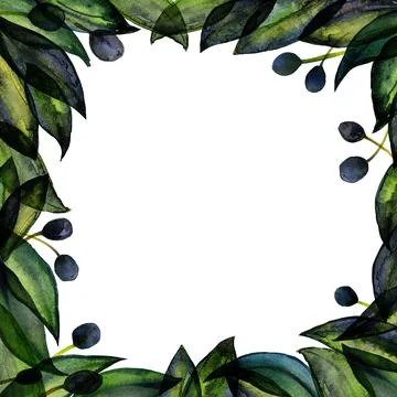 Olive square frame with hand drawn watercolor Stock Illustration