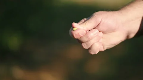 Olive squeezed slow motion prores Stock Footage 169582124