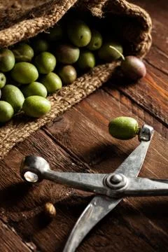 Olive Stoner Stock Photos