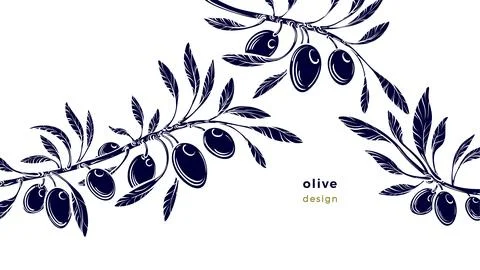 Olive template Vector silhouette of stick, fruit Stock Illustration