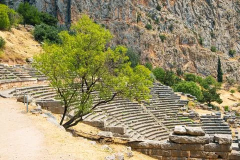 Olive tree against backdrop of ancient amphitheater in Delphi archaeological Stock Photos