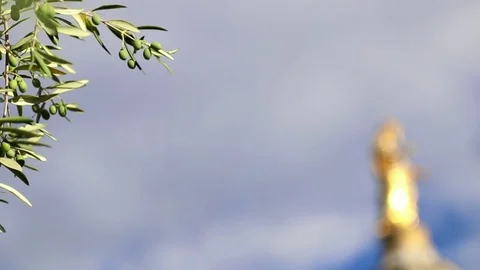 Olive tree and statue of the virgin in Avignon Stock Footage 82894101