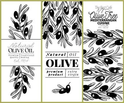 Olive tree banner set. Vector hand drawn vintage illustration. Design for olive Stock Illustration