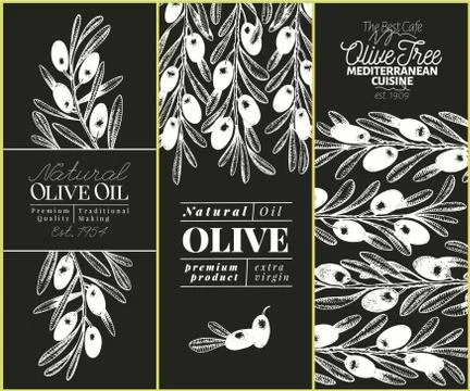 Olive tree banner set. Vector hand drawn vintage illustration on chalk board Stock Illustration