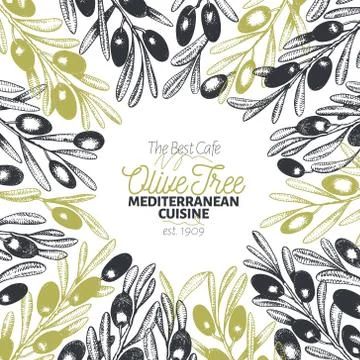 Olive tree banner template. Vector vintage illustration. Hand drawn engraved Stock Illustration