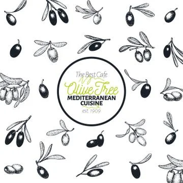 Olive tree banner template. Vector vintage illustration. Hand drawn engraved Stock Illustration