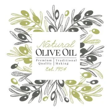 Olive tree banner template. Vector vintage illustration. Hand drawn engraved Stock Illustration