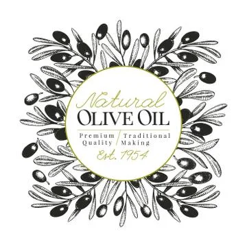 Olive tree banner template. Vector vintage illustration. Hand drawn engraved Stock Illustration