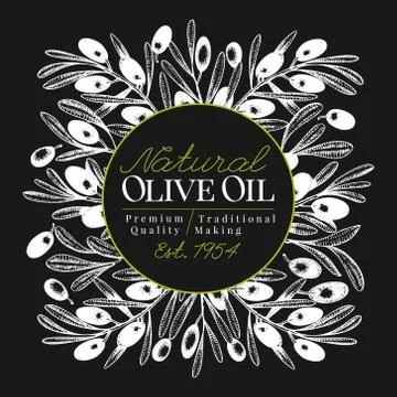 Olive tree banner template. Vector vintage illustration on chalk board. Hand Stock Illustration