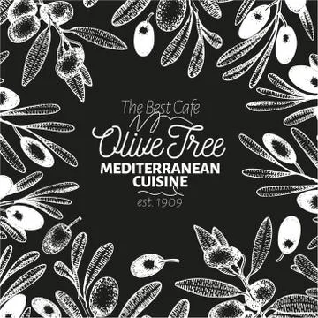 Olive tree banner template. Vector vintage illustration on chalk board. Hand Stock Illustration