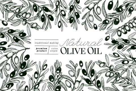 Olive tree banner template. Vector vintage illustration. Hand drawn engraved Stock Illustration