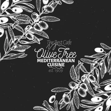 Olive tree banner template. Vector vintage illustration. Hand drawn engraved Stock Illustration