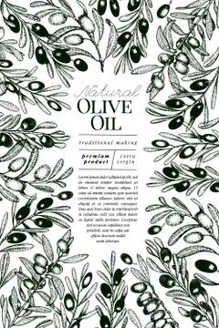 Olive tree banner template. Vector vintage illustration. Hand drawn engraved Stock Illustration