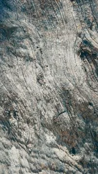 Olive tree bark Stock Photos