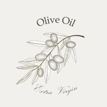 Olive tree branch, berries isolated. Vegetable garden background Stock Illustration