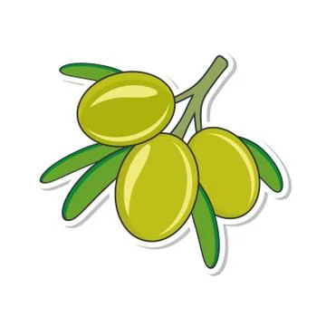 Olive tree branch flat icon. Sticker isolated on white background. Vector Stock Illustration