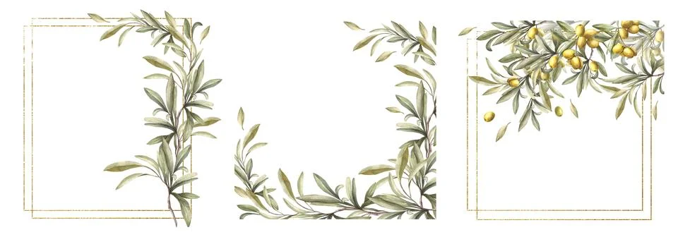 Olive tree branch frame set Gold framed with green leaves and fruit. Watercolor Illustrazione stock