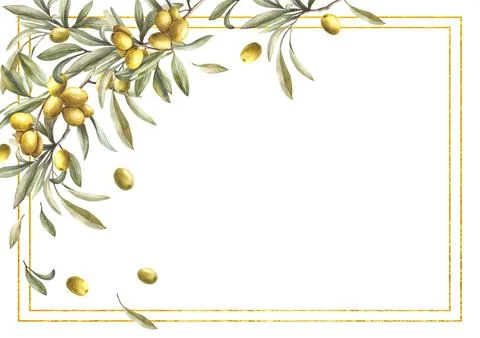Olive tree branch gold framed. Watercolor olive fruit and green leaves Hand Illustrazione stock