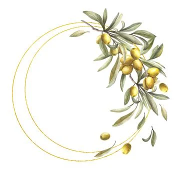Olive tree branch gold framed. Watercolor round frame with leaves and fruit Illustrazione stock