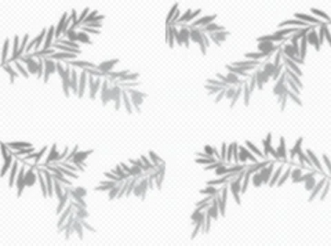 Olive tree branch leaves shadow overlay background Stock Illustration
