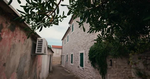 Olive tree branches above stone alley Видео 336814456