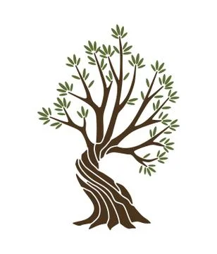 Olive tree with branches and green leaves banner. Hand drawn ancient greek label Stock Illustration