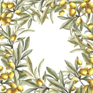 Olive tree branches frame. Watercolor plant with green leaves and fruits. Hand Illustrazione stock