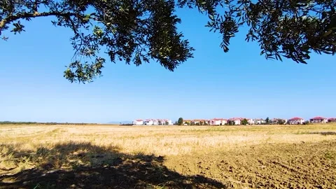 Olive Tree Branches Framing Dry Agricultural Field and Village View Stock Footage 345096076