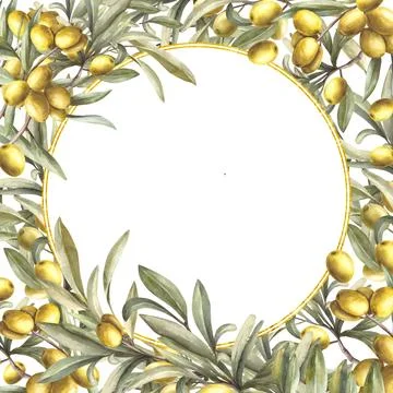 Olive tree branches with round gold frame. Watercolor plant, leaves fruits. Hand Stock Illustration