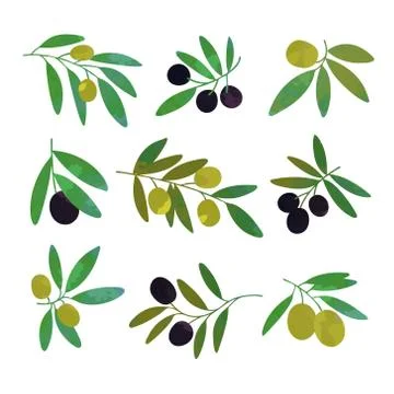 Olive tree branches set of colorful vector Illustrations Stock Illustration