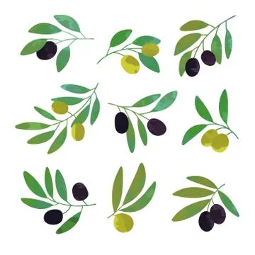 Olive tree branches set of colorful vector Illustrations Stock Illustration