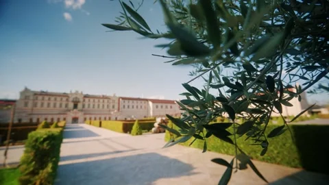 Olive tree branches swaying in front of classic european palace garden. Stock Footage 339754801