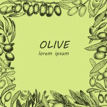 Olive tree branches vector frame. Engraving hand drawn style. Vector sketch Stock Illustration
