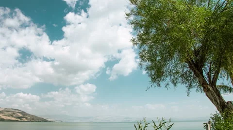 Olive tree with clouds over the Galilee sea, Jordan river on background, Israel Vídeo Stock 51848665