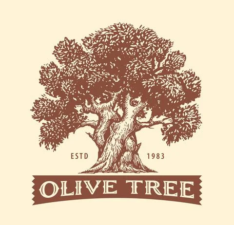 Olive Tree. Design element for decoration olive oil. Hand drawn Sketch vector Stock Illustration
