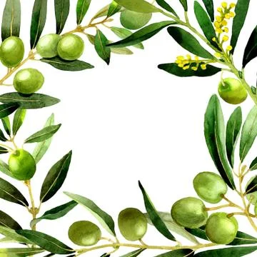Olive tree frame in a watercolor style isolated Stock Illustration