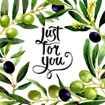 Olive tree frame in a watercolor style isolated Stock Illustration