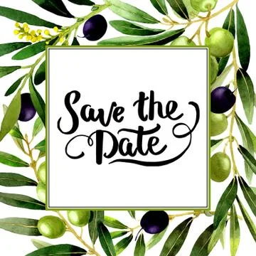 Olive tree frame in a watercolor style isolated Stock Illustration