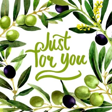 Olive tree frame in a watercolor style isolated Illustrazione stock