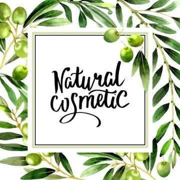 Olive tree frame in a watercolor style isolated Stock Illustration